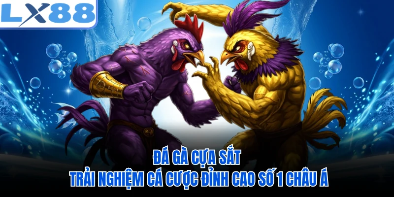Đá Gà Cựa Sắt - Trải Nghiệm Cá Cược Đỉnh Cao Số 1 Châu Á