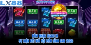 Đêm Nhạc Disco M - Sự Kiện Kết Nối Hội Viên Đỉnh Cao 2026
